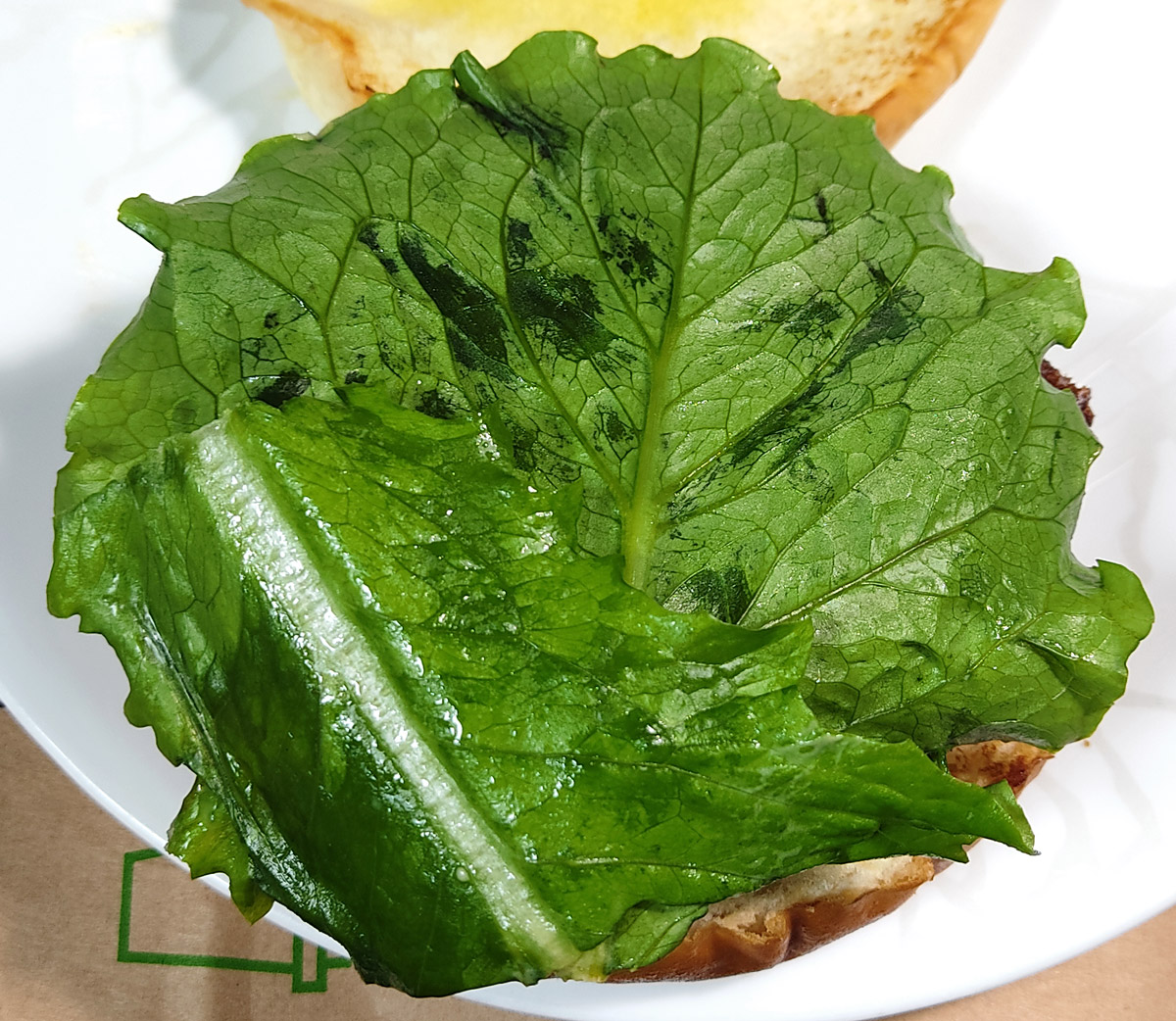 청상추 하단