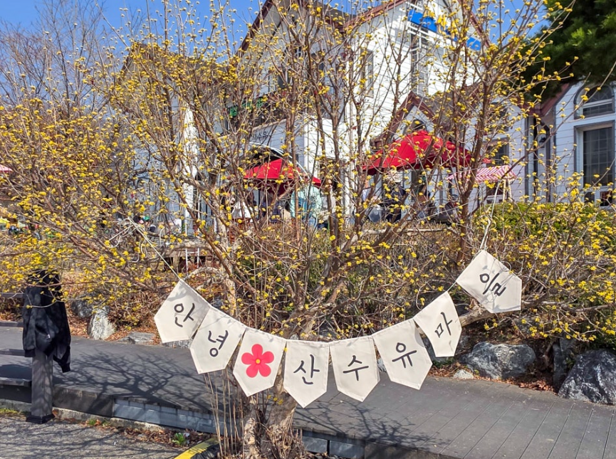 이천백사 산수유2