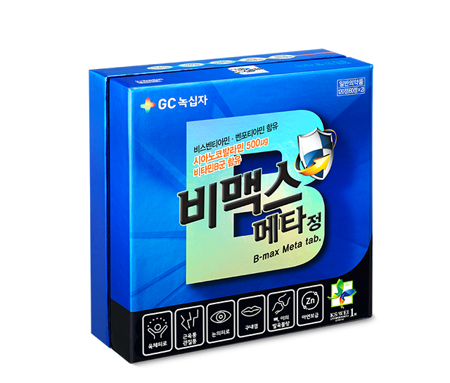 비맥스 메타정