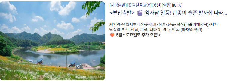 왕과사는남자투어 부산출발 영월 여행 서부시장 청령포 장릉 선돌 방문후기