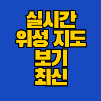 실시간 위성 지도 보기