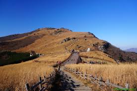 밀양 가볼만한곳 - 영남알프스