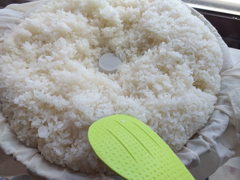 막걸리 만드는 방법