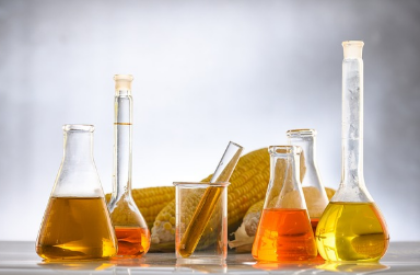 2025 삼성전자 임원인사