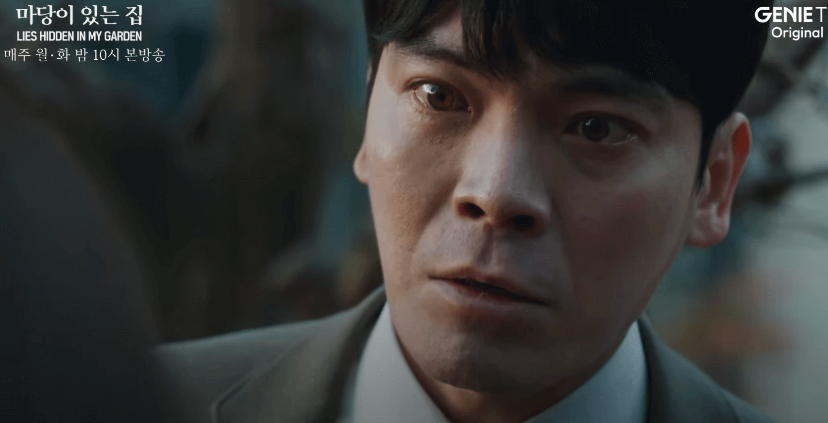 마당이-있는-집-재호