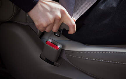 2025 카니발 하이브리드