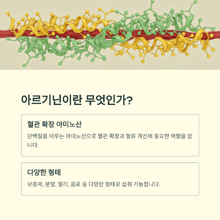 아르기닌 효능 피로회복