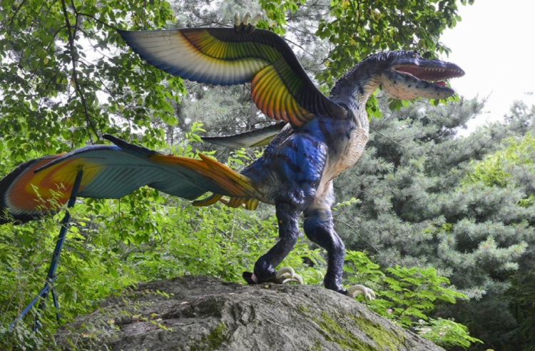 덕평 공룡수목원