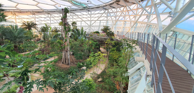 부천호수식물원 수피아