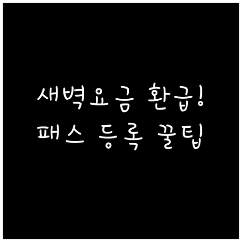 새벽 대중교통 이용 요금 환급 조건 ..