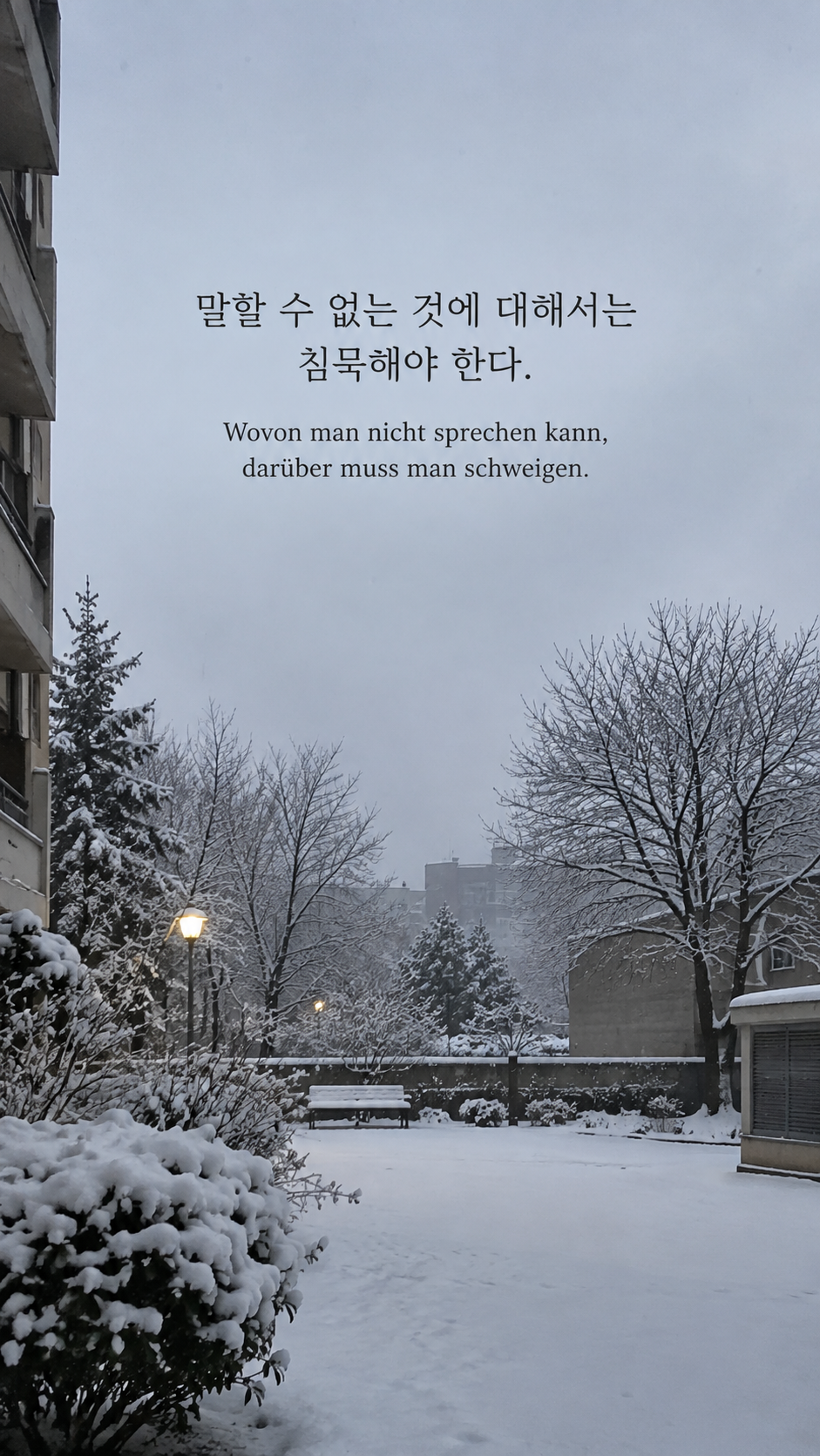 독일어 명언 30 비트겐슈타인 말할 수 없는 것에 대해서는 침묵해야 한다. — 아침의 고요한 눈 덮인 빈 뜰