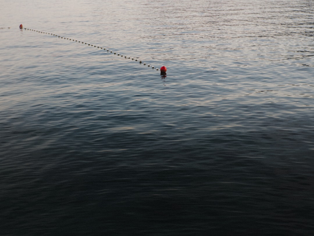 Fishing Spot