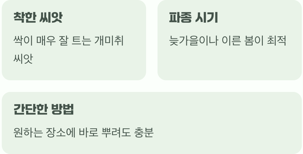 씨앗 한 줌으로 시작하는 풍경