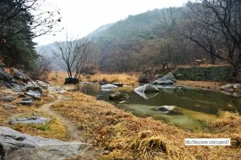 봉화 가볼만한곳 베스트10 현지인 추천 필수코스_17