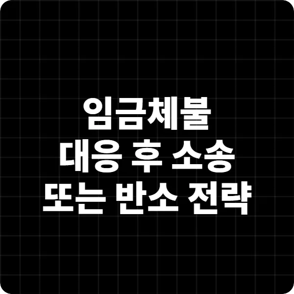 임금체불 대응 후 소송 또는 반소 전략 (2025년 기준)
