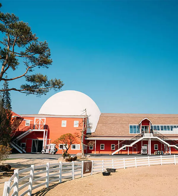 블랙스톤 벨포레 목장