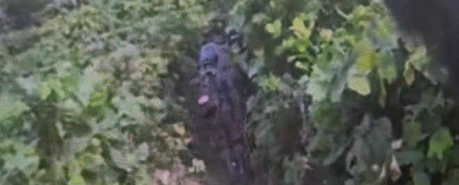 θ»·μ μμ¬, DMZ νλ° μ‘°μ¬ νν©κ³Ό μΆκ° μ‘°μ¬ κ³ν μ§μ€ λΆμ μ°Έκ³ μ΄λ―Έμ§ 2