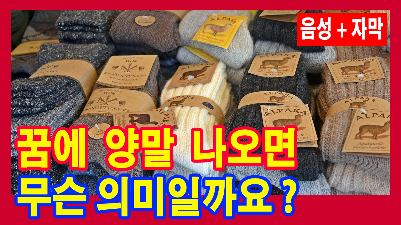 꿈에-양말-나오면-무슨-의미일까요?