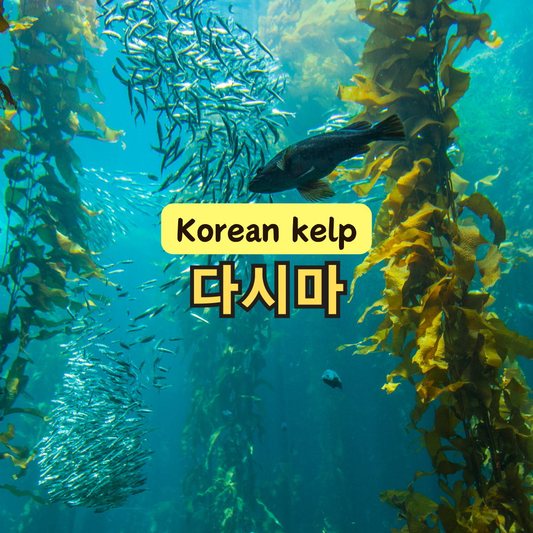 다시마 효능과 부작용, 다시마물 칼로리 완벽 정리