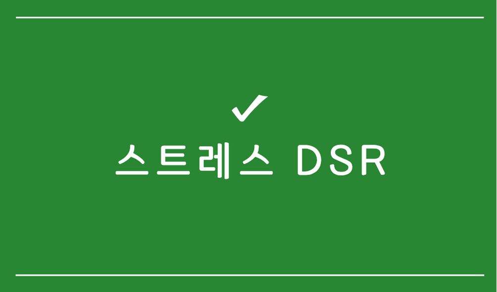 스트레스 dsr