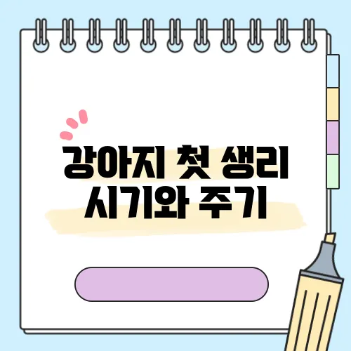 강아지 첫 생리 시기와 주기, 증상 및 관리 방법을 알아보자