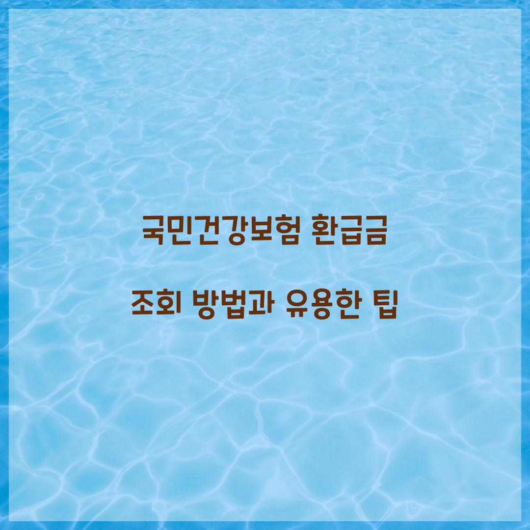 국민건강보험 환급금 조회