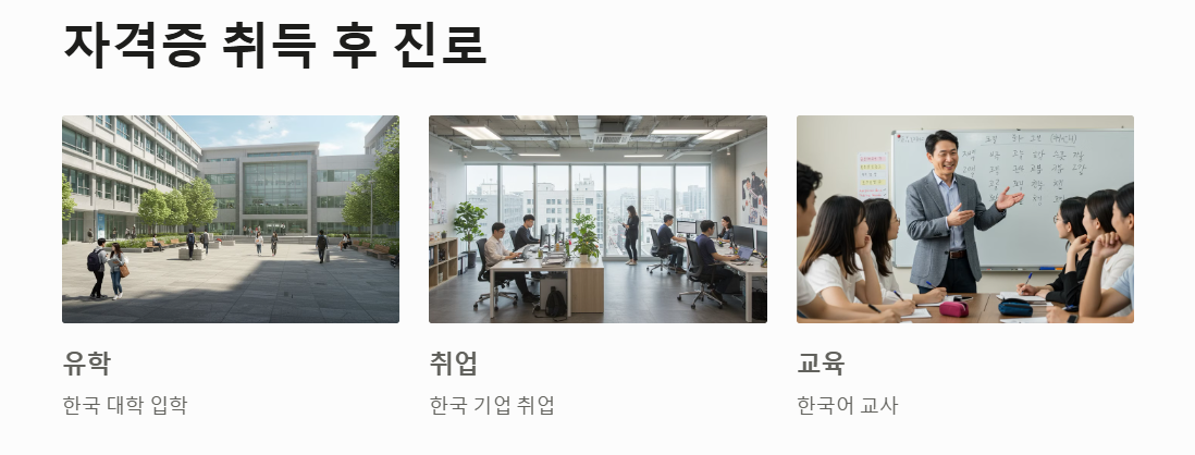 한국어능력시험 자격 취득 후 진로