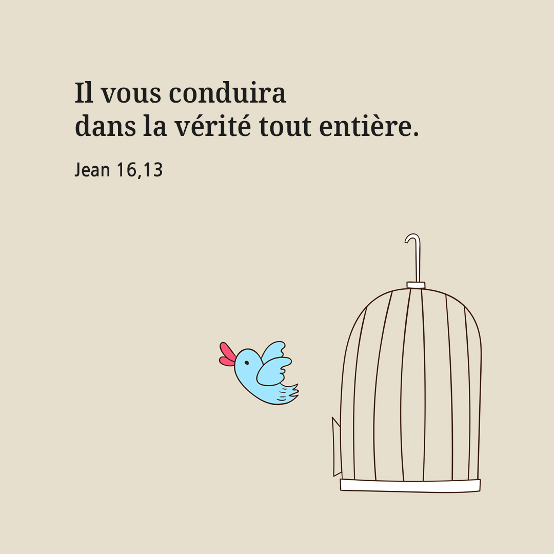 Il vous conduira dans la v&eacute;rit&eacute; tout enti&egrave;re. (Jean 16,13)