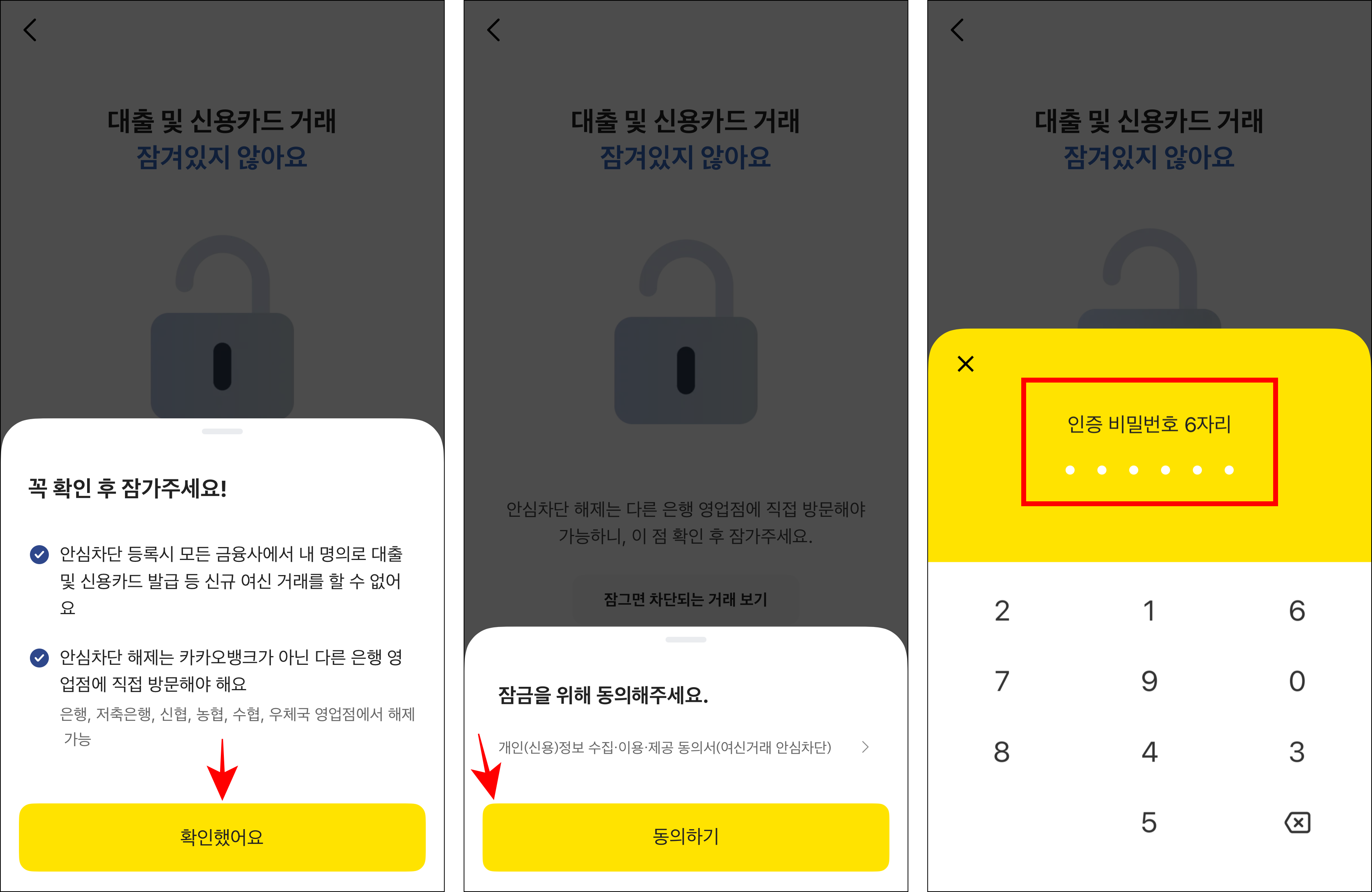 화면에 표시된 안내의 '확인했어요'를 선택하고, 잠금을 위해 '동의하기'를 선택한 후 인증 비밀번호 6자리를 입력