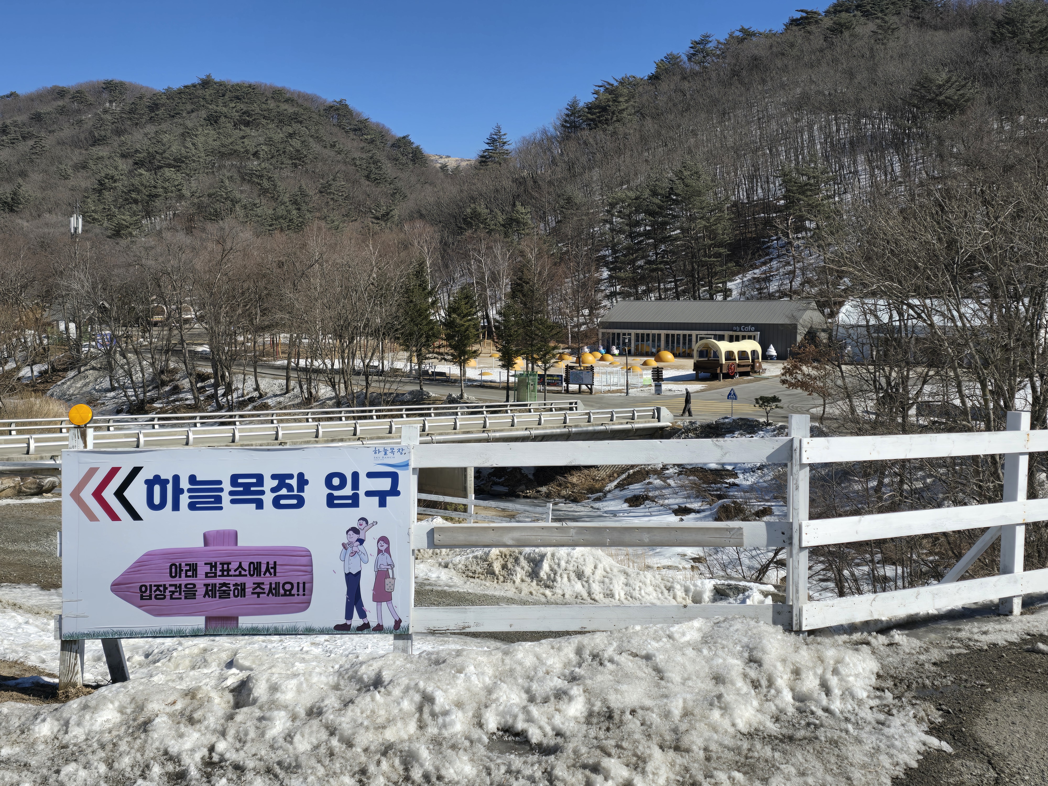 대관령 하늘목장 평창가볼만한곳 횡계가볼만한곳 .체험비.입장료