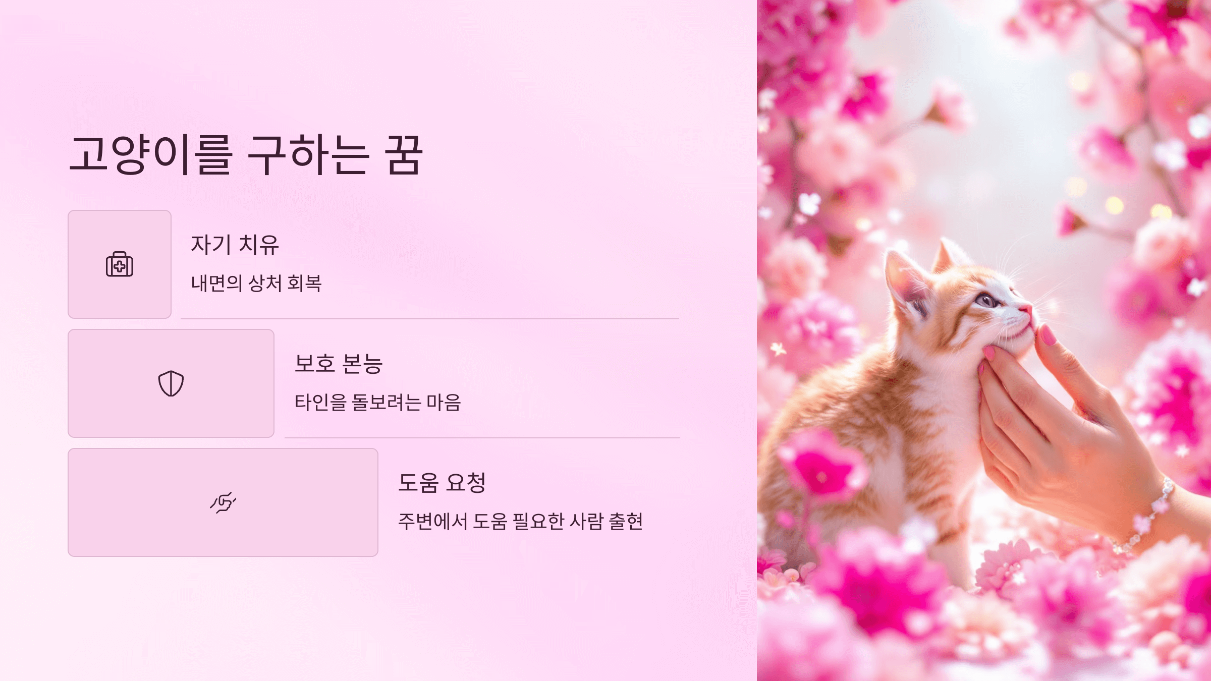 고양이 사진입니다.