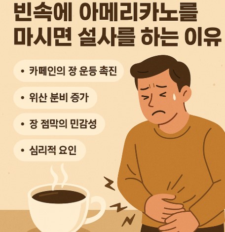 빈속에 아메리카노를 마시면 설사를 하는 이유 설명 사진