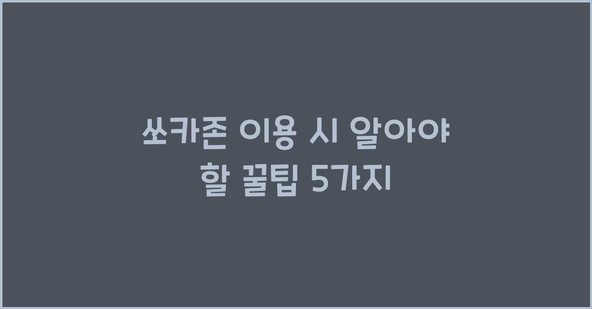 쏘카존