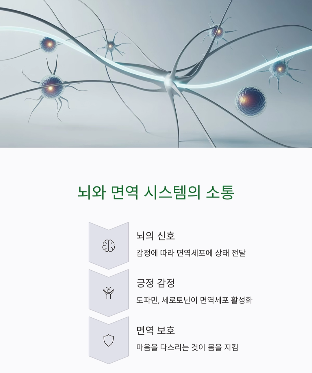 긍정적 마인드가 면역력에 주는 놀라운 효과
