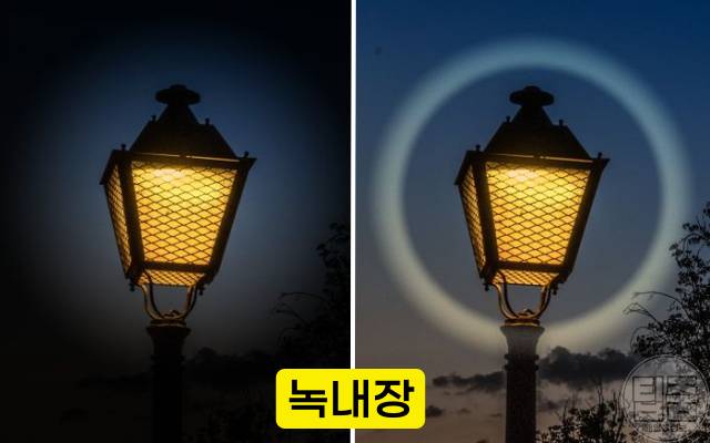 실명 전조증상 녹내장