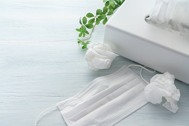 수족구 어른 전염