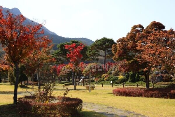 내장산