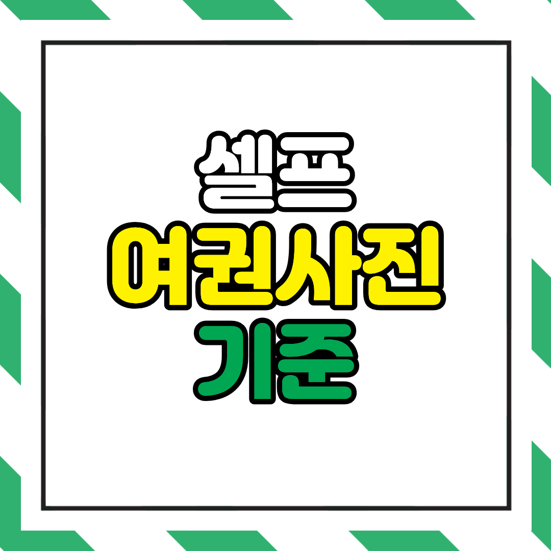 셀프 여권사진