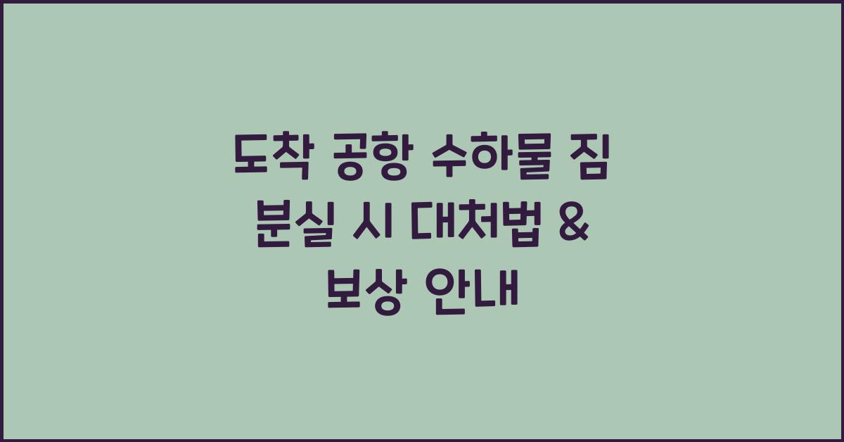 도착 공항 수하물 짐 분실