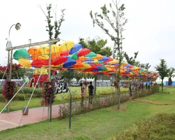 무안 연꽃축제14