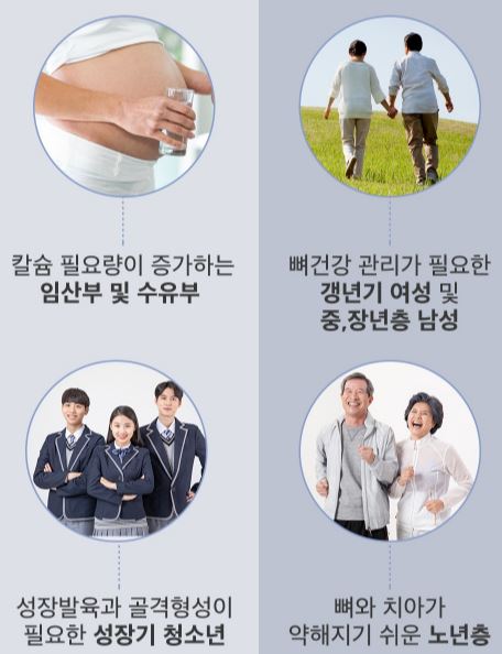 포뉴 백칼슘 마그네슘 비타민D