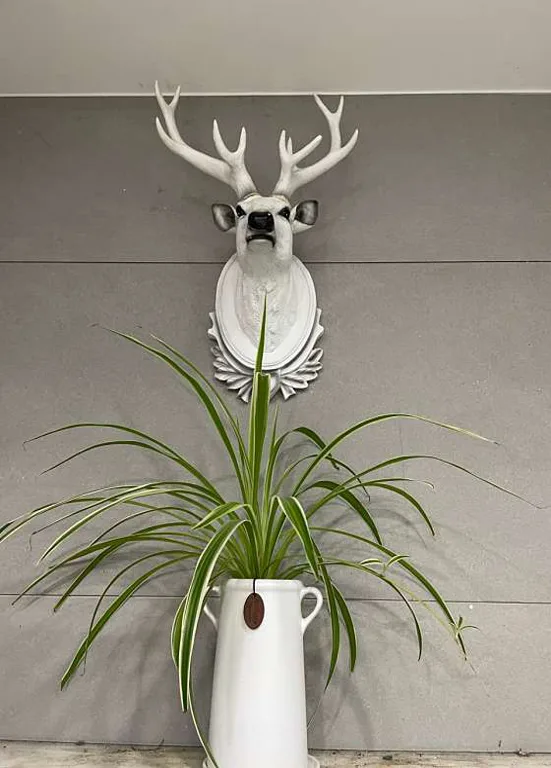 이가자헤어비스 서수원이마트점