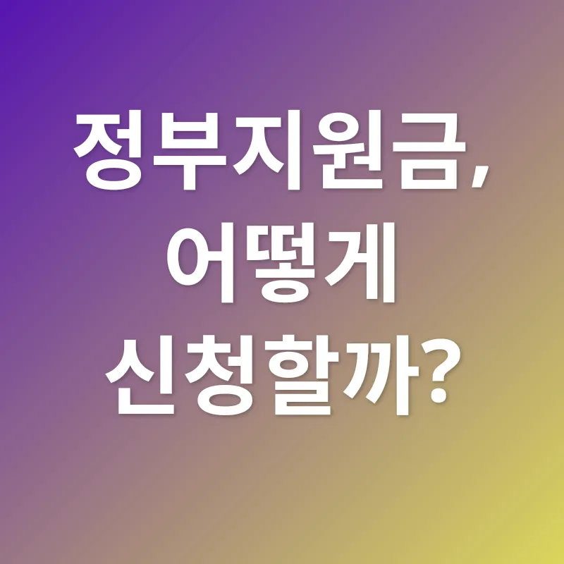 정부지원금_3