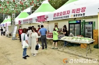 문경 오미자축제 2025 다섯 가지 맛으로 만나는 가을 정리_14