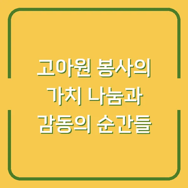 고아원 봉사의 가치 나눔과 감동의 순간들