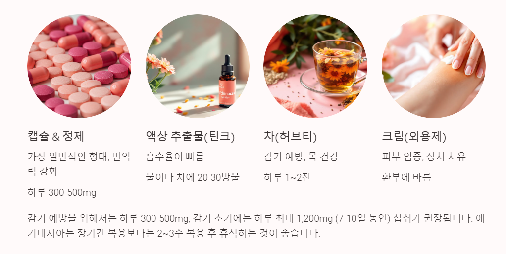 애키네시아 섭취방법