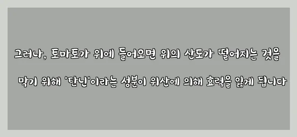  그러나, 토마토가 위에 들어오면 위의 산도가 떨어지는 것을 막기 위해 '탄닌'이라는 성분이 위산에 의해 효력을 잃게 됩니다