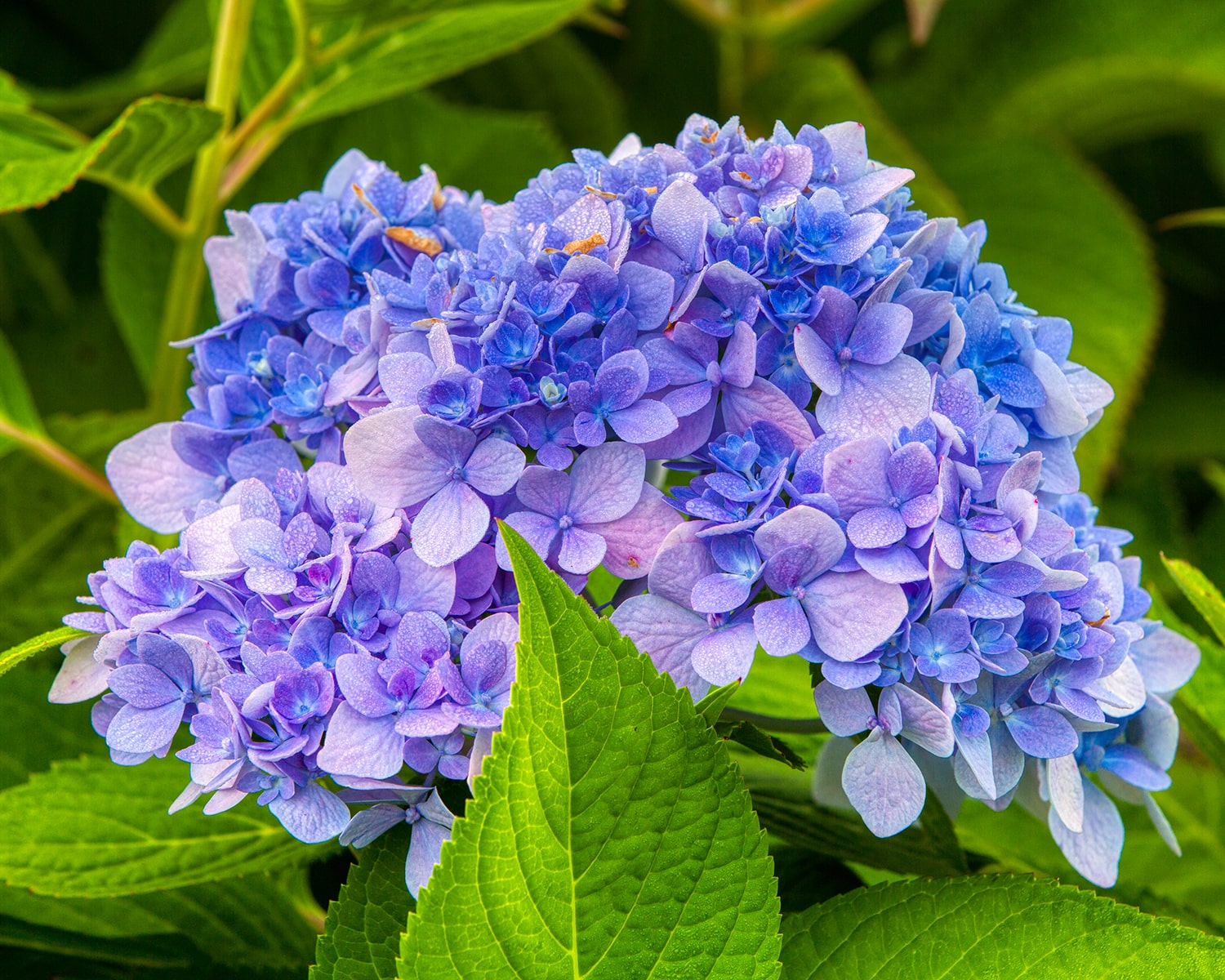 구리 한강공원- 29