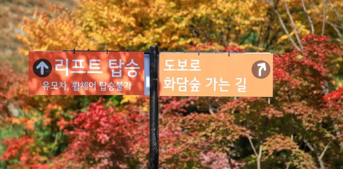 화담숲 이동