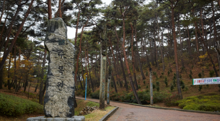 태안 안면도 수목원